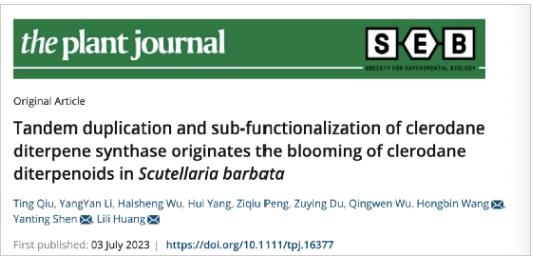 Plant Journal | 广州中医药大学解析半枝莲中克罗烷型二萜骨架的生物合成途径