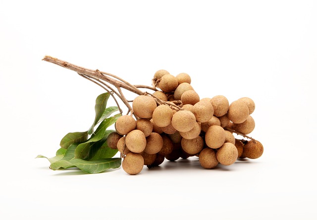 longan-1290167_640.jpg longan-1290167_640.jpg
