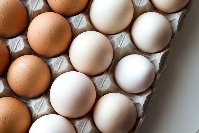 egg-white-3048118_640.jpg egg-white-3048118_640.jpg