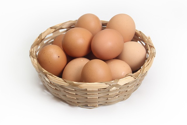 egg-1686641_640.jpg egg-1686641_640.jpg