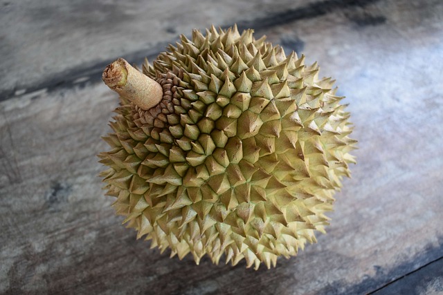 durian-6790475_640.jpg durian-6790475_640.jpg