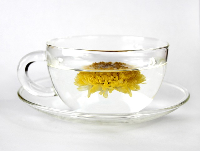 cup-681680_640.jpg cup-681680_640.jpg