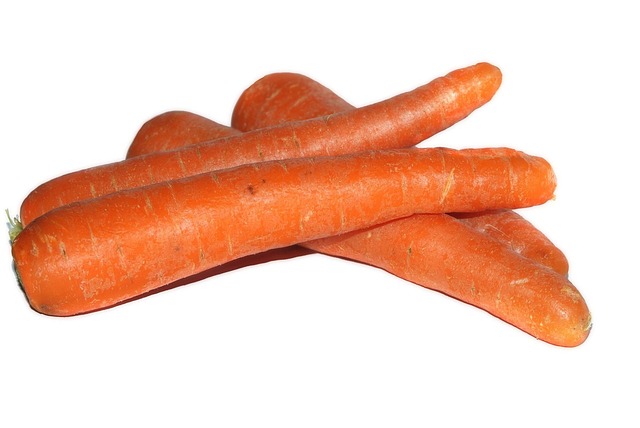 carrot-1694087_640.jpg carrot-1694087_640.jpg