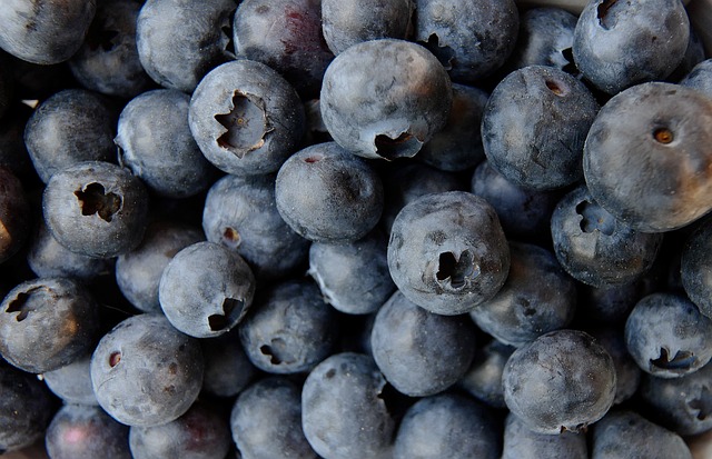 blueberry-3357568_640.jpg blueberry-3357568_640.jpg