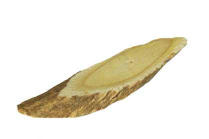 img_milkvetch-root_2.jpg img_milkvetch-root_2.jpg