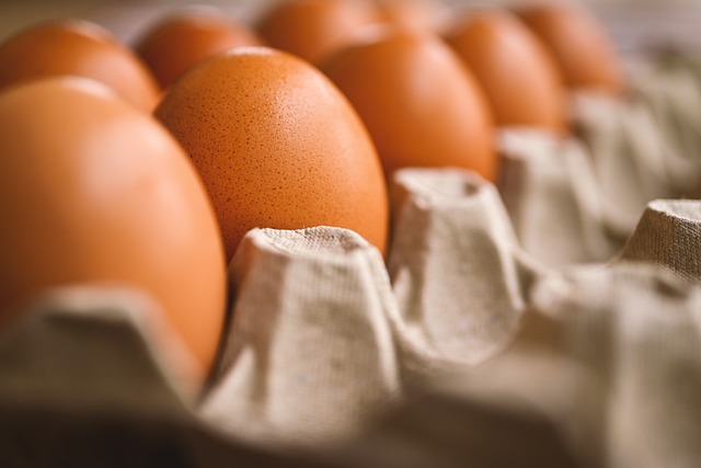 egg-7345934_640.jpg egg-7345934_640.jpg