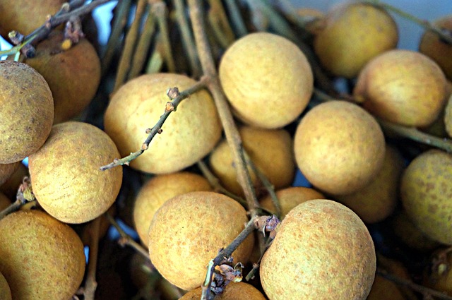 longan-6523272_640.jpg longan-6523272_640.jpg