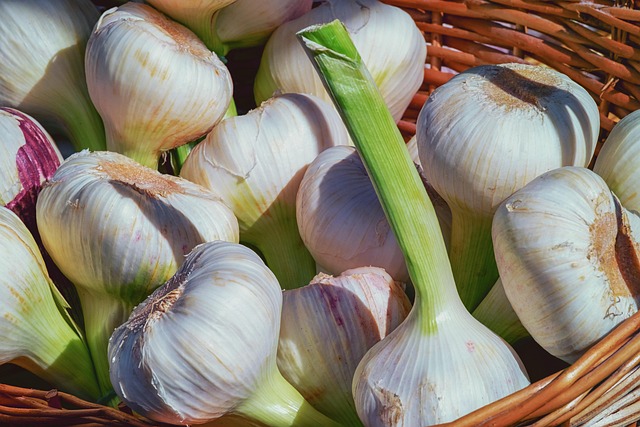 garlic-3471701_640.jpg garlic-3471701_640.jpg