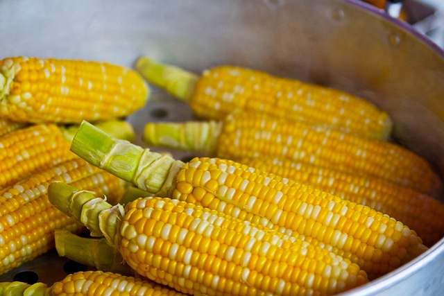 8种主食吃出强大免疫力！别光吃米饭，第5种是中医“健胃剂”
