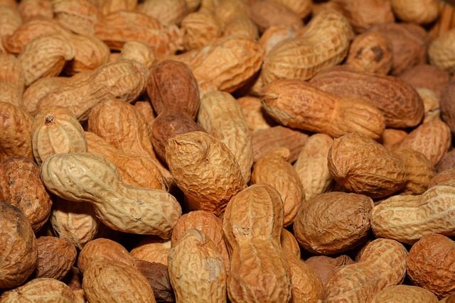 peanuts-618547_640.jpg peanuts-618547_640.jpg