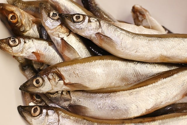 fish-8210152_640.jpg fish-8210152_640.jpg