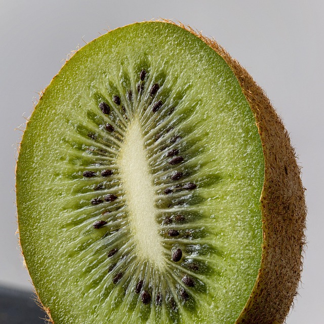 kiwi-7149462_640.jpg kiwi-7149462_640.jpg