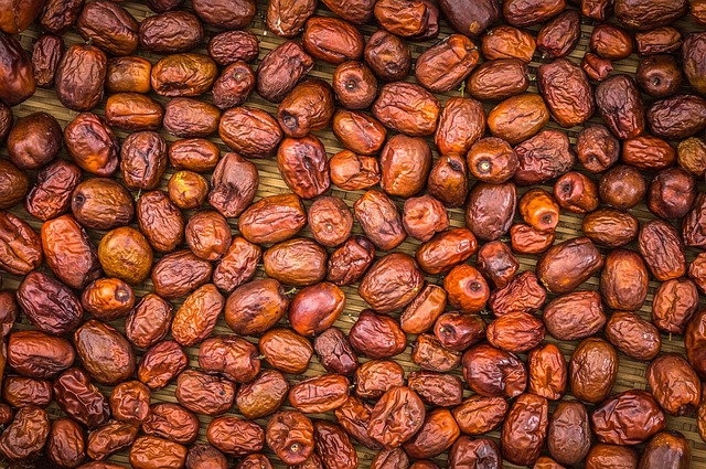 jujube-2798658_640.jpg jujube-2798658_640.jpg