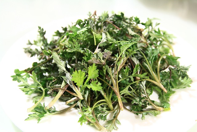 mugwort-1338208_640.jpg mugwort-1338208_640.jpg